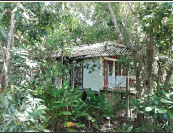 Hotel Bahia Das Jangadas. Serra Grande  Exterior foto